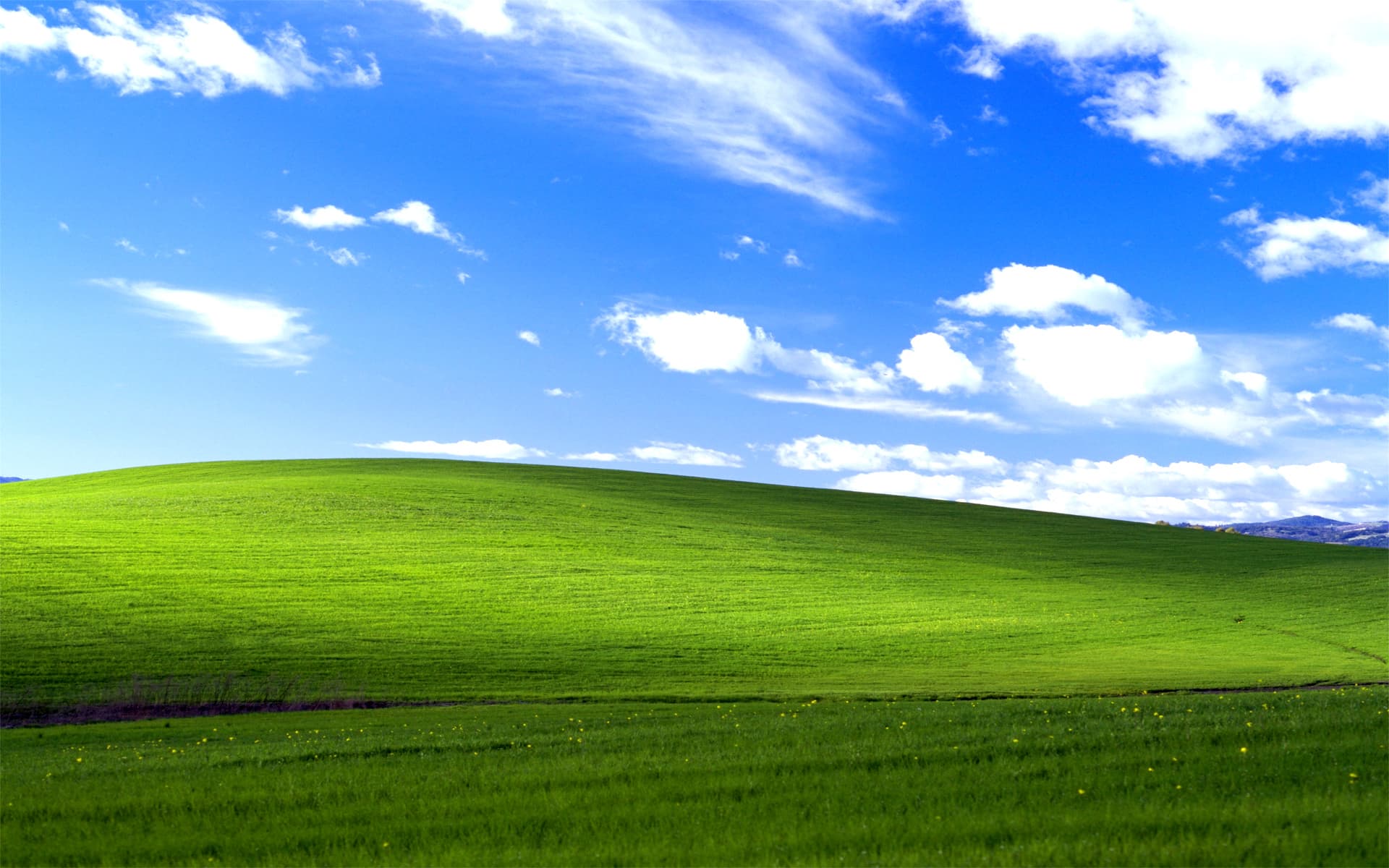 A green hillside beneath a bright blue sky with white clouds
