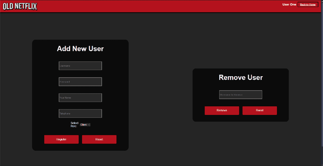 Old Netflix website administration page with add and remove user forms.